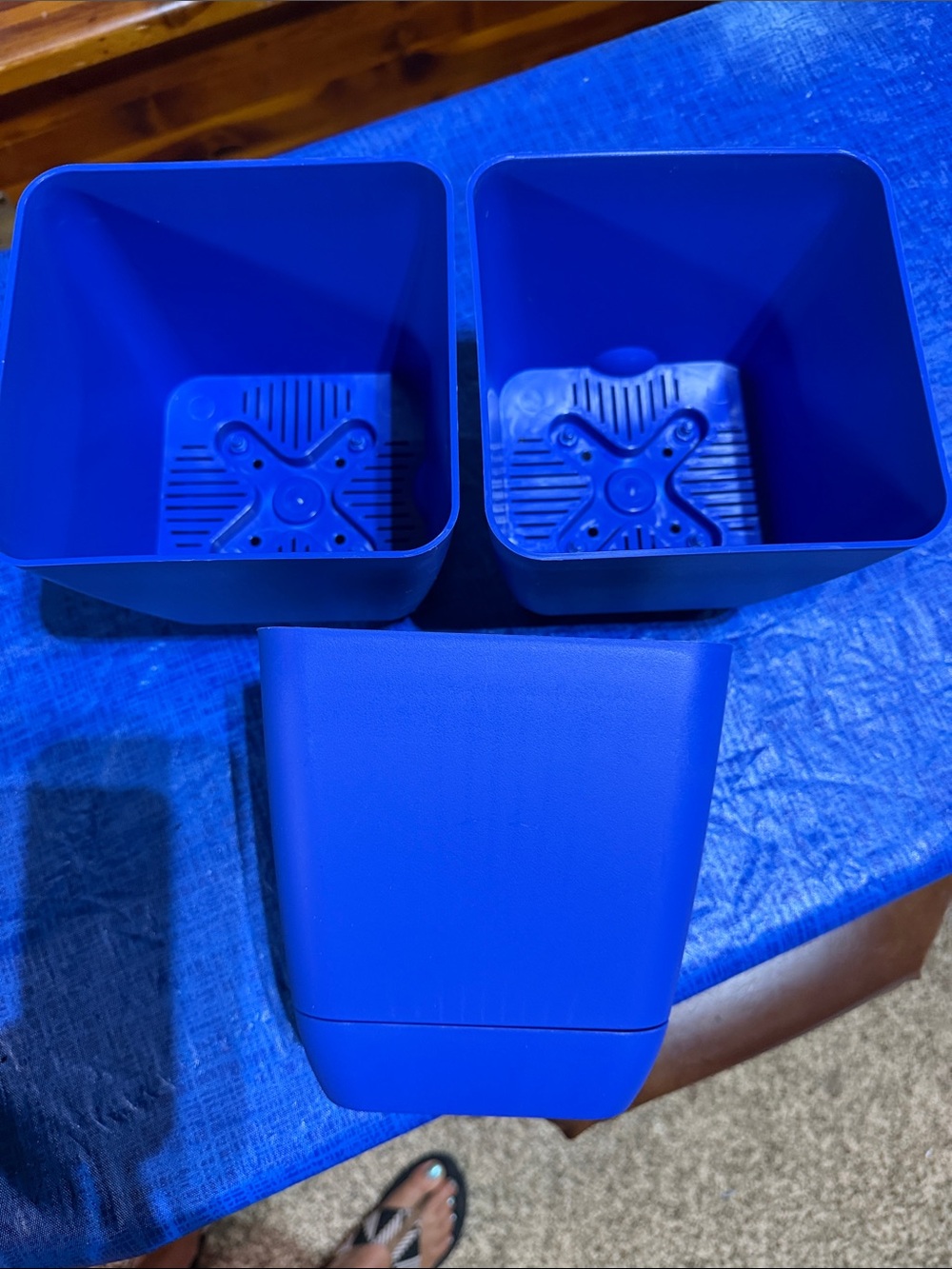 Room Essentials Royal Blue Square Plastic Planters - Set of 3
